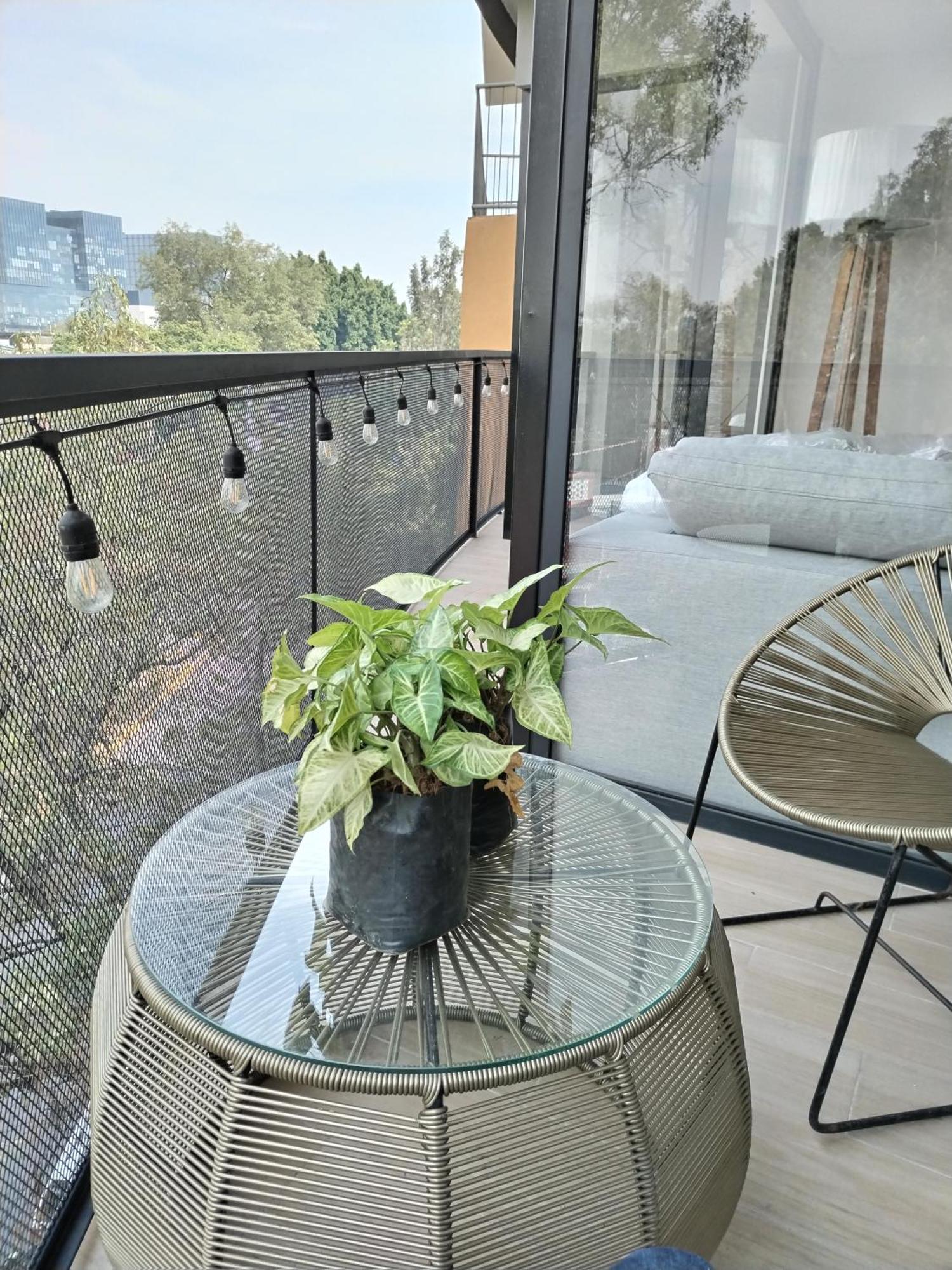 墨西哥城Residencial Chicle D401公寓 外观 照片